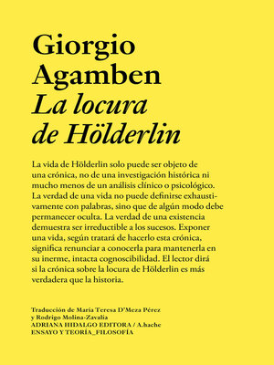 cover image of La locura de Hölderlin
